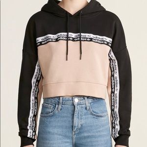 Adidas Ash Pearl Colorblock Logo Crop Hoodie